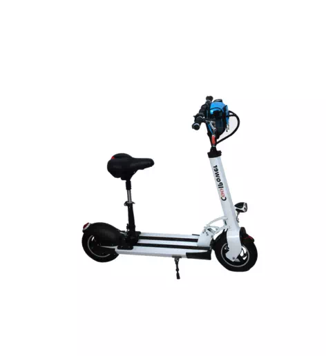 Electric Scooter for Adult (From 16)